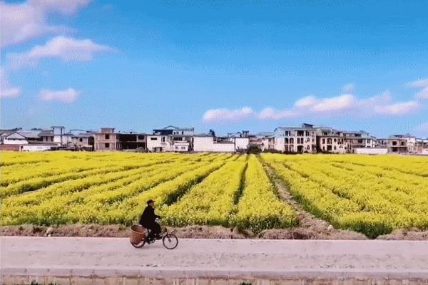 中国经济实力最强的10个县,中国经济实力第一县