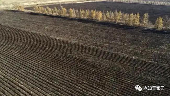 老知青讲北大荒艰苦生活的岁月,知青重返北大荒八五三农场