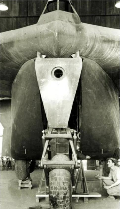 有趣的飞行器18-运水果的科幻大飞翼