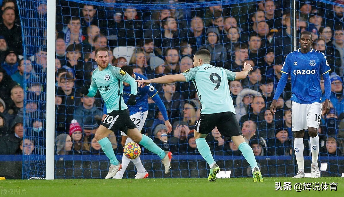 队徽是一只鹰的国家队,队徽是鸟的球队