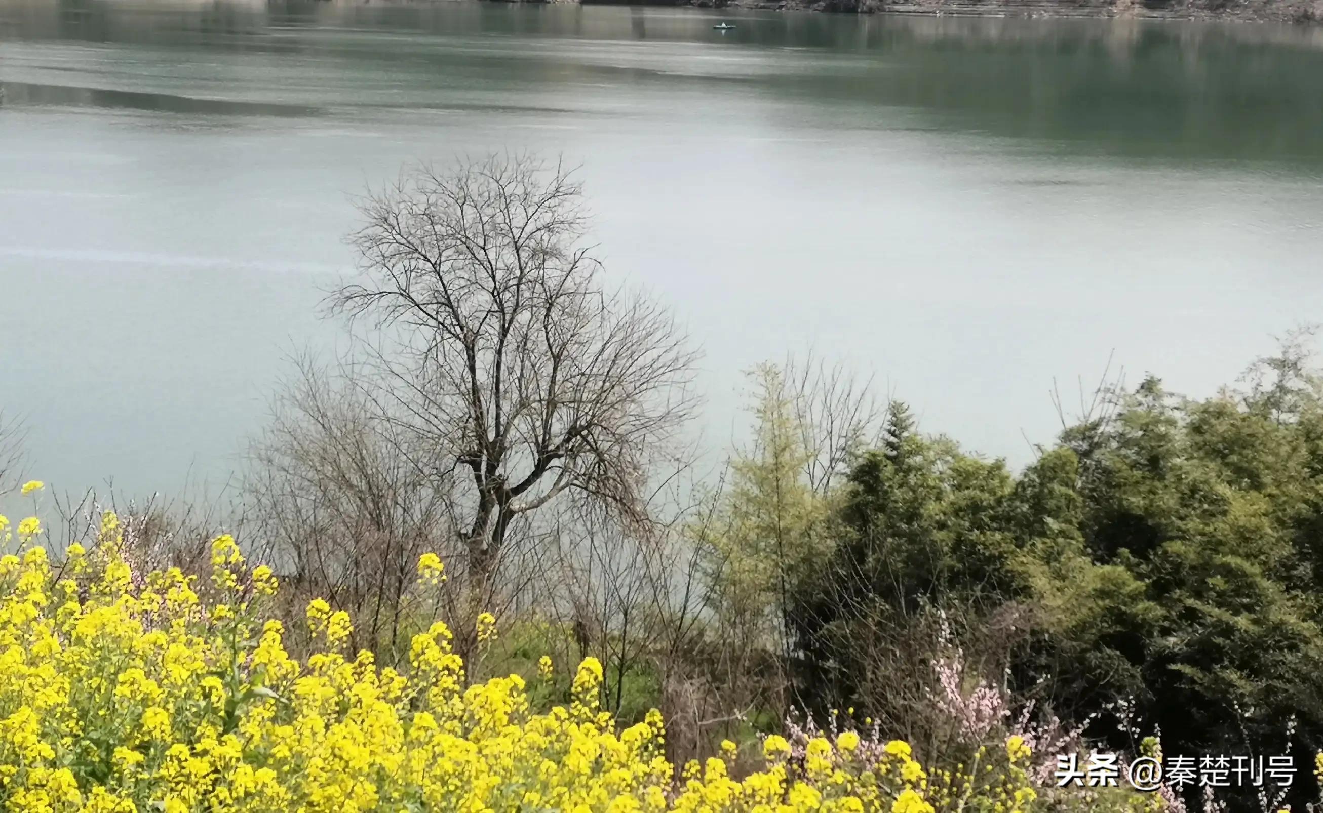 十堰市最终能改成功郧阳市吗,什么时候郧阳改为十堰的