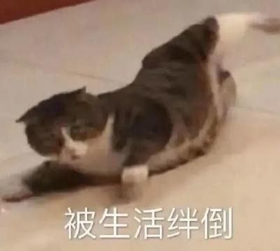 看起来有大病网名,大病痊愈找个适合我的网名