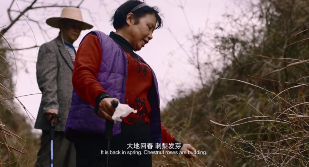 2019年疫情有多厉害,2019年武汉疫情电影