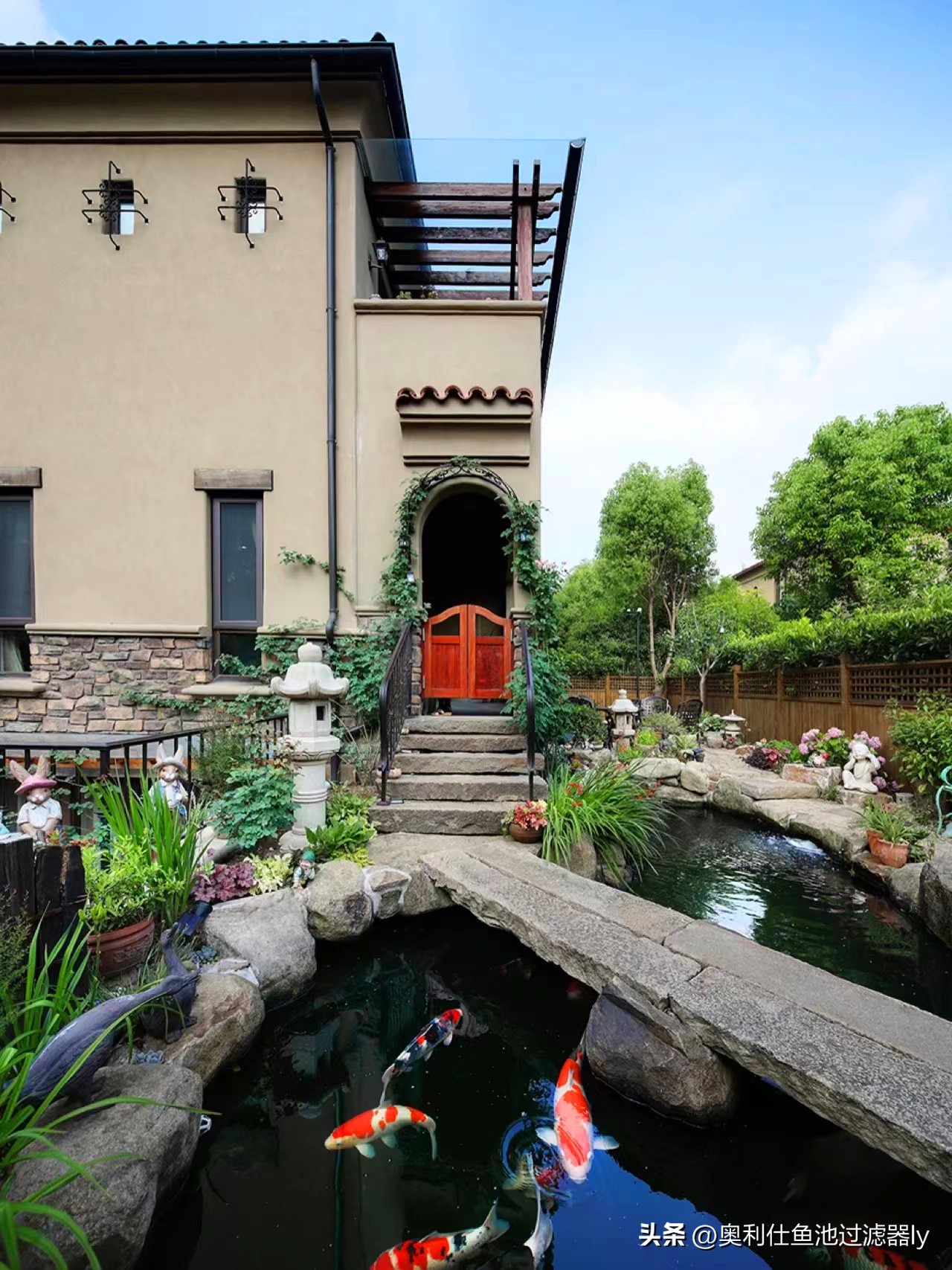 锦鲤鱼池养护价格,春季如何养护锦鲤鱼池中的绿藻