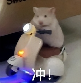 六月最后一周计划：填写“青春山东”实习招募报名表