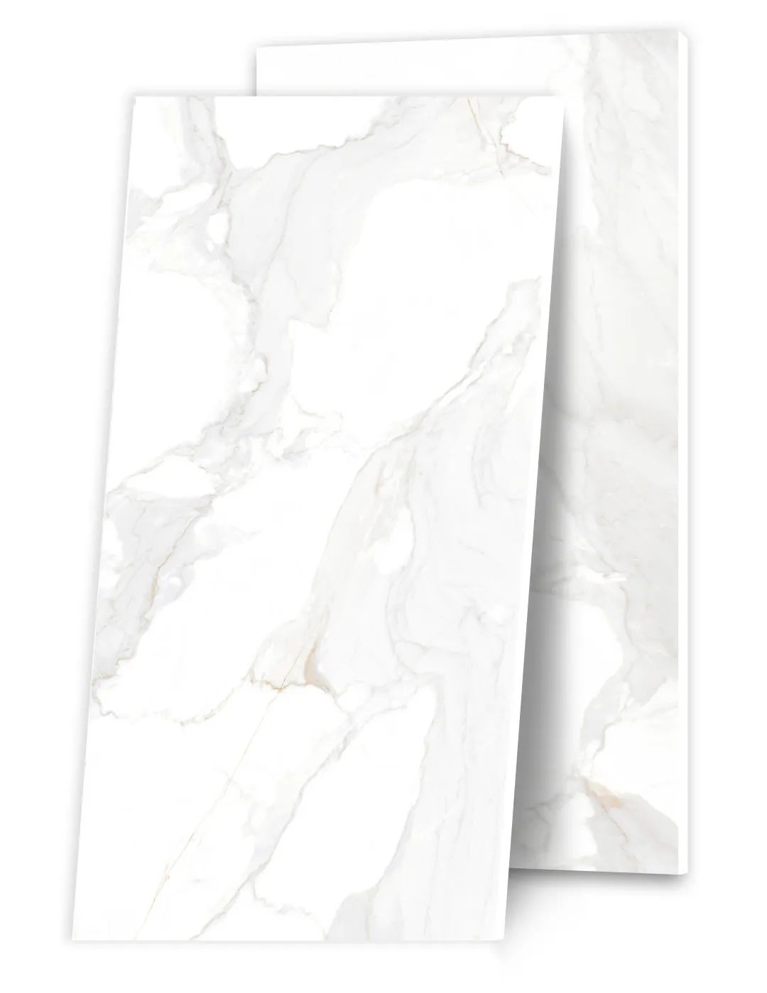 伊莉莎白瓷砖最新效果图,选瓷砖首选伊莉莎白瓷砖