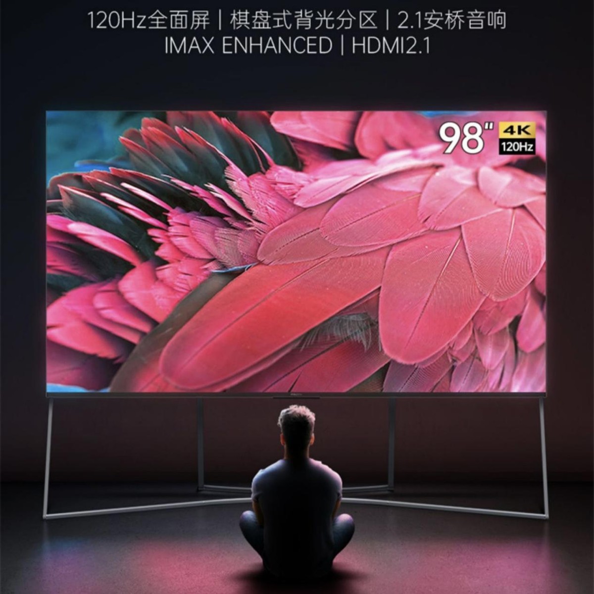 瀹跺涵褰遍櫌甯冪嚎閬垮潙,瀹跺涵褰遍櫌鍩嬬嚎鏁欑▼