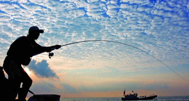 新手钓鱼入门基本知识,水库钓鱼技巧新手入门