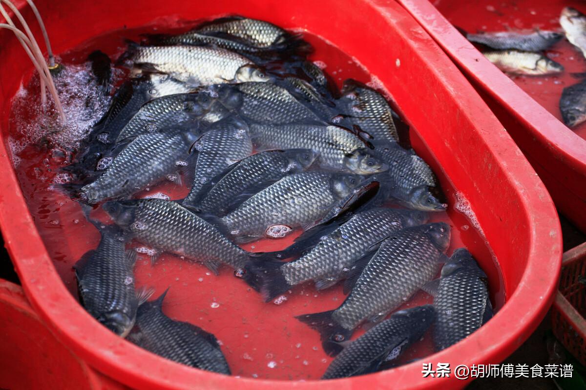 这四种鱼含有甲醛和重金属不要吃,这四种鱼千万别吃致癌