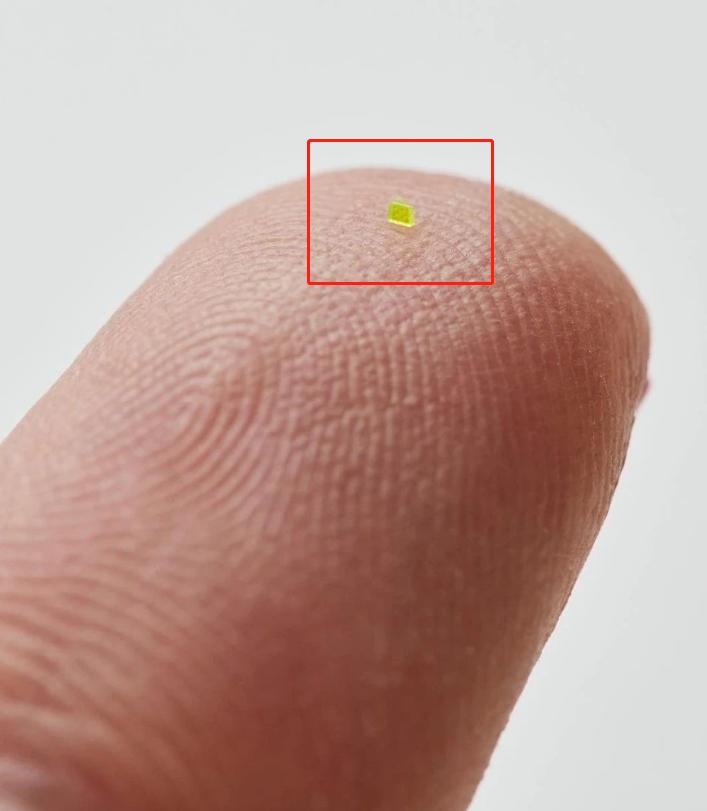 今年流行的lv包包款式,小个子最百搭的奢侈包包lv