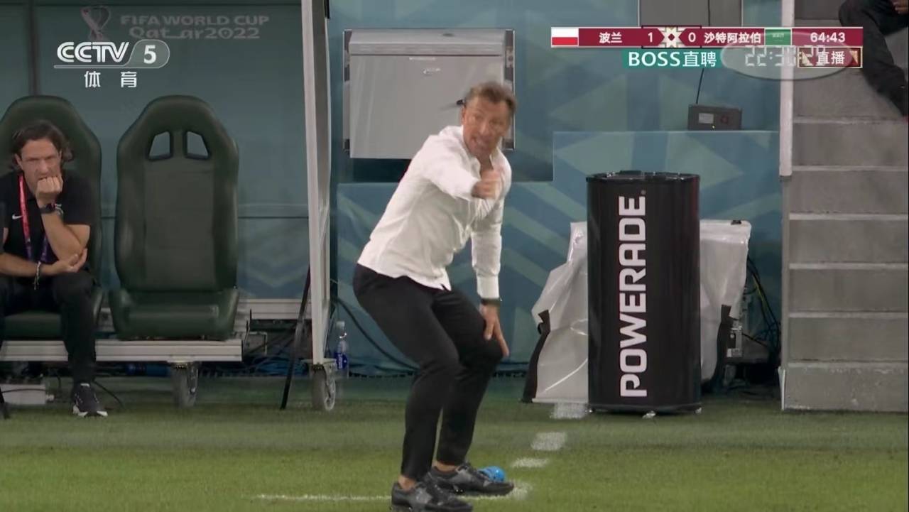 卡塔尔世界杯场馆配置,卡塔尔体育场座椅