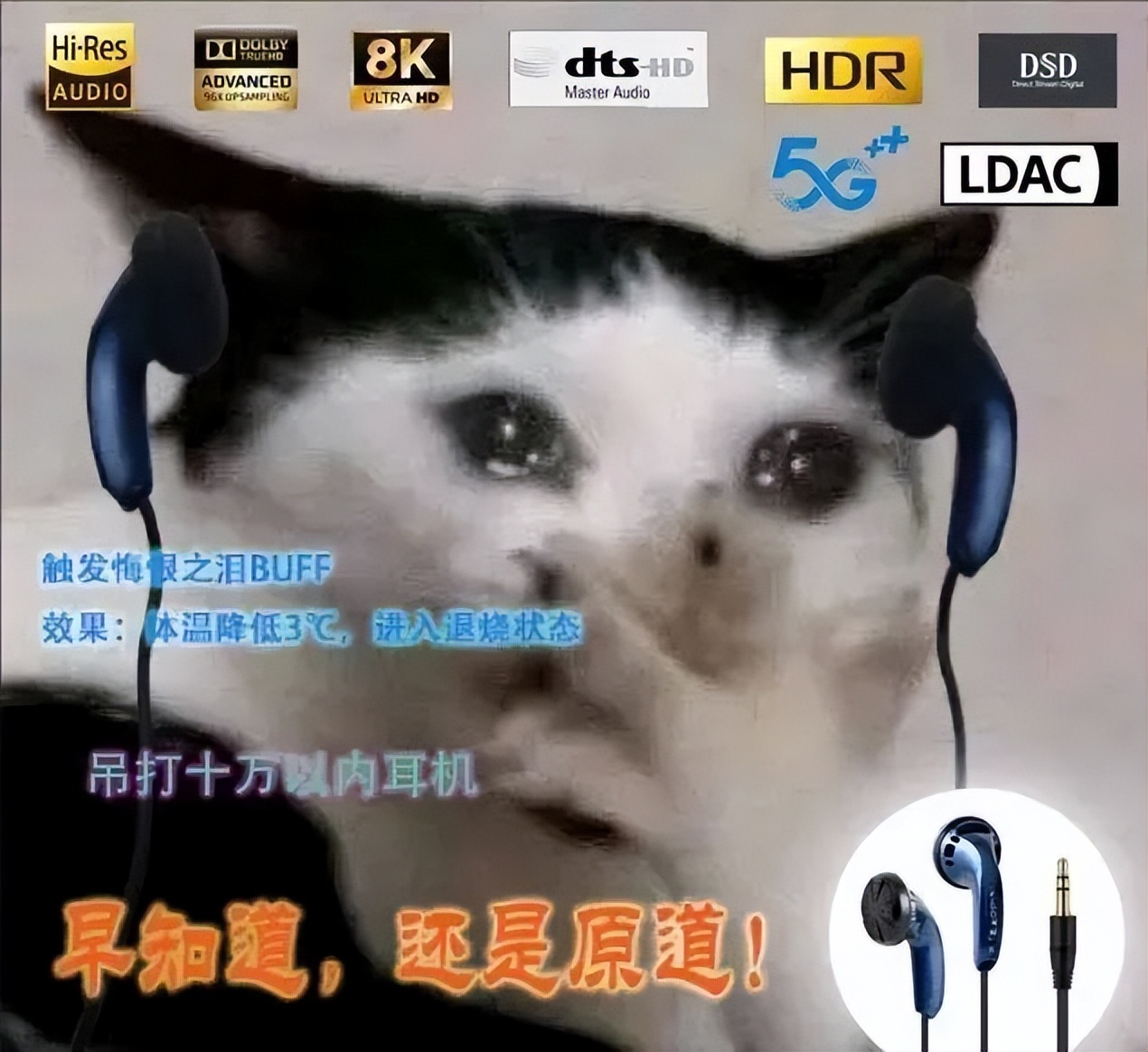 山寨原道耳机,9.9元耳机听哭