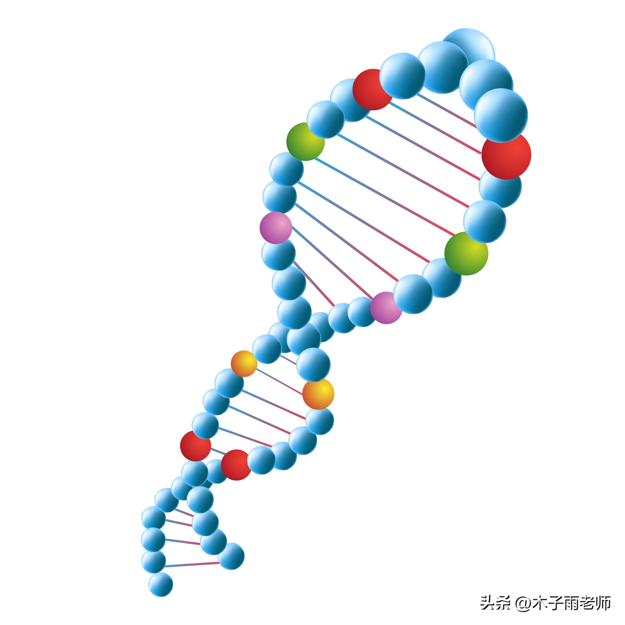 单词速记generous,牛津高中英语单词必修1到8