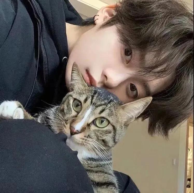 男生头像阳光简单干净,男生头像冷酷帅气