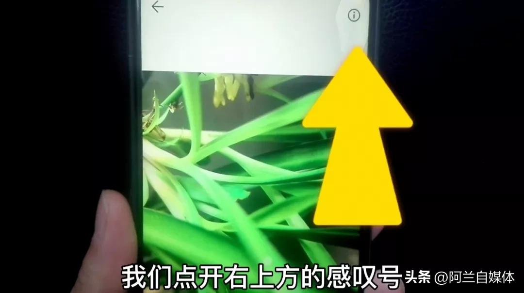 微信原图发送会泄露隐私吗,微信发原图泄露位置是真的吗