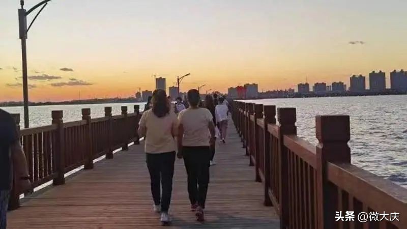 大庆为什么有蚊子,大庆蚊子