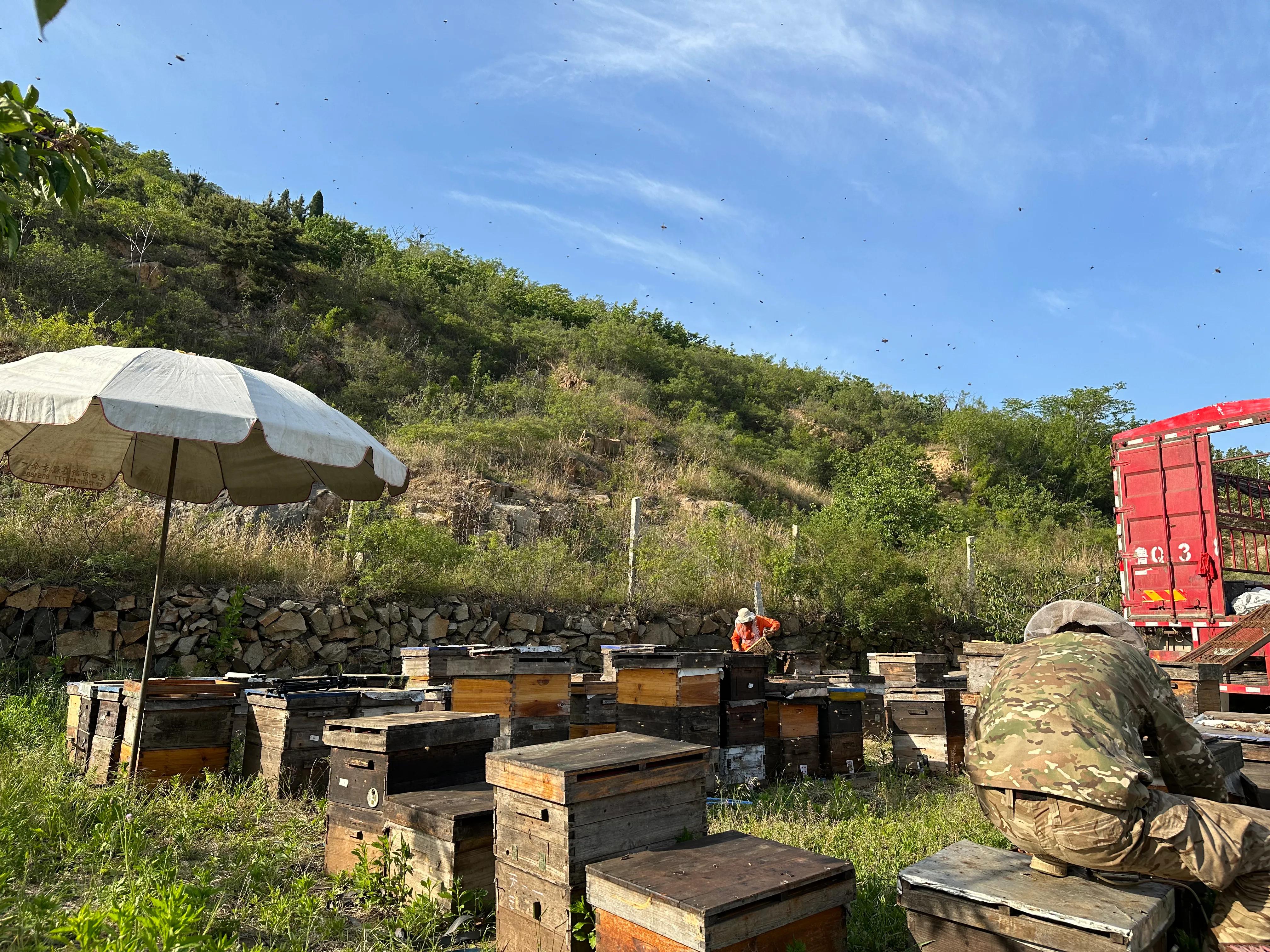 为什么假蜂蜜那么多,商家为什么在蜂蜜里面掺假