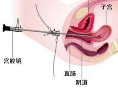 养育女孩注意这些事,养育女孩的禁忌