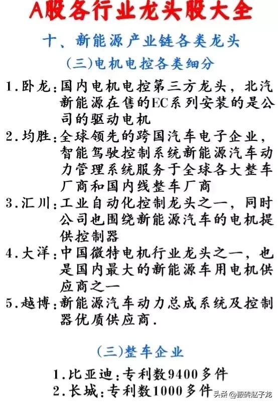 2019年各细分行业龙头股一览表,2023年各行业龙头股清单