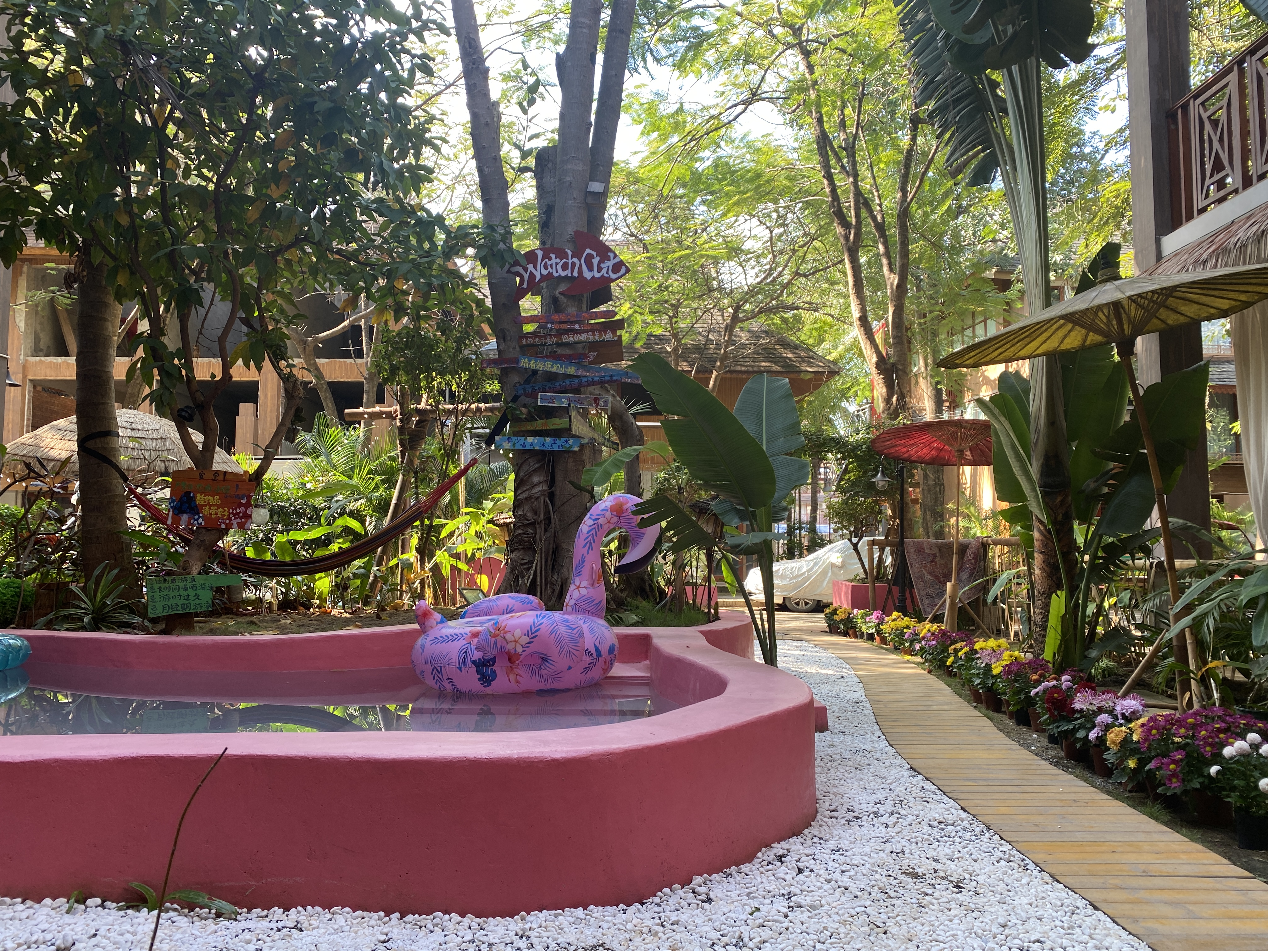 冬天西双版纳适合旅游吗,西双版纳最宜居