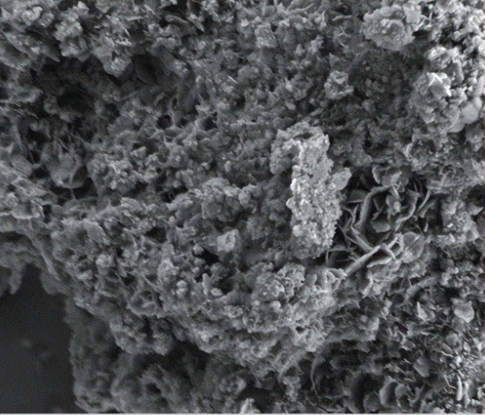 壳聚糖膜的制备流程,壳聚糖制备保鲜膜