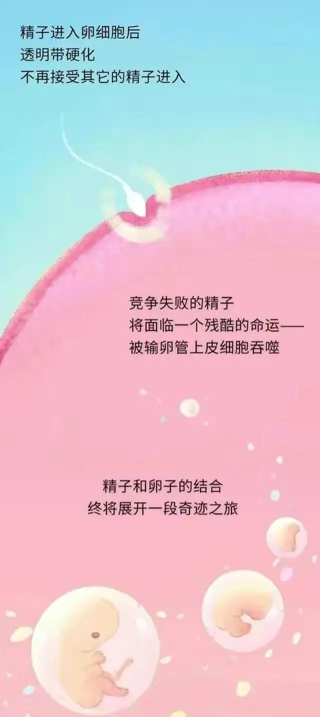 绮惧瓙杩涘叆浜轰綋24灏忔椂鍙樺寲,绮惧瓙杩涘叆浜轰綋1灏忔椂鍙樺寲