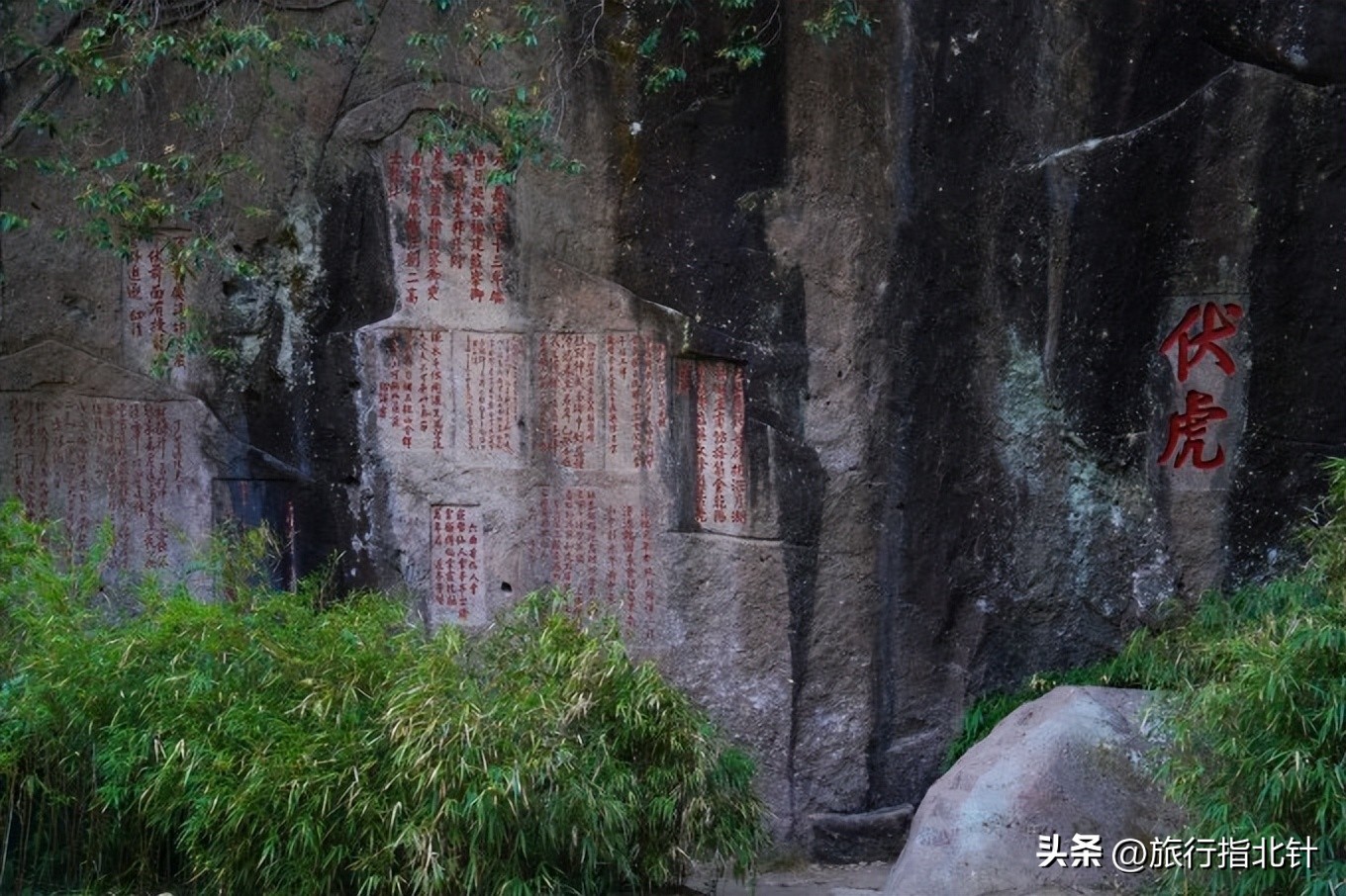 福建旅游攻略武夷山,福建武夷山旅游攻略一日游