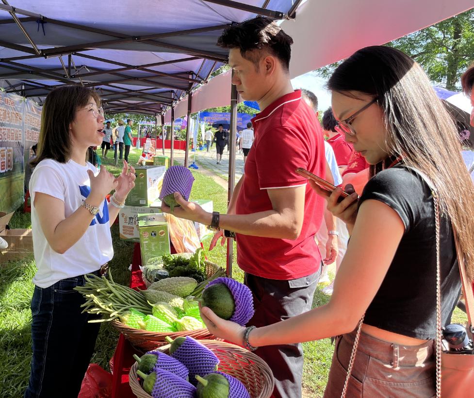 “美味封不住宴遇杏花鸡”！他们共聚一堂为杏花镇乡村振兴出谋献策