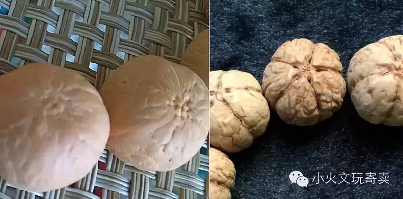 凤眼菩提最好的盘玩方法,多大的凤眼菩提最好