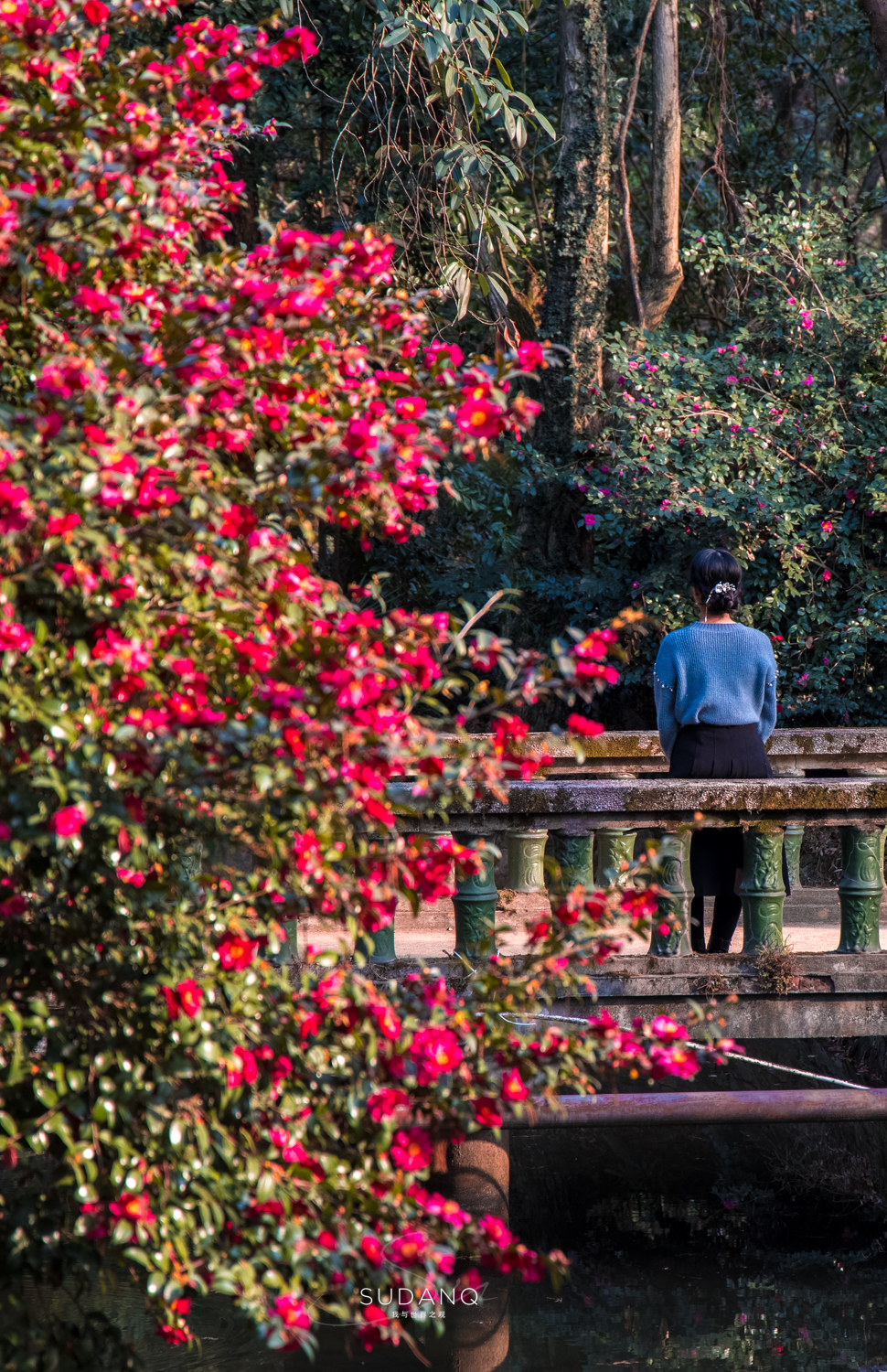 情人节专场，每一个都不想错过！武汉市区有哪些“爱情胜地”呢？