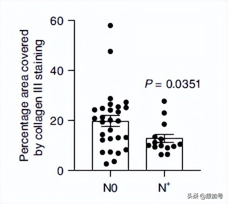 新的突破是什么,新的突破
