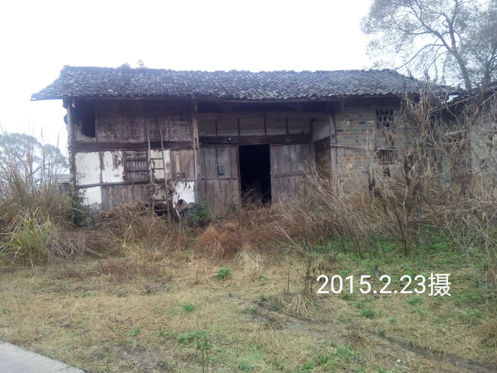 时隔三十年和老母亲再游上海,一个上海知青的回忆