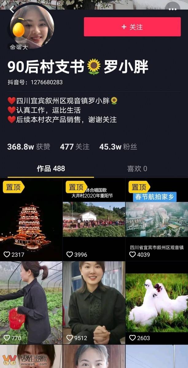 90后村支书罗小胖年收入,宜宾90后村支书罗小胖