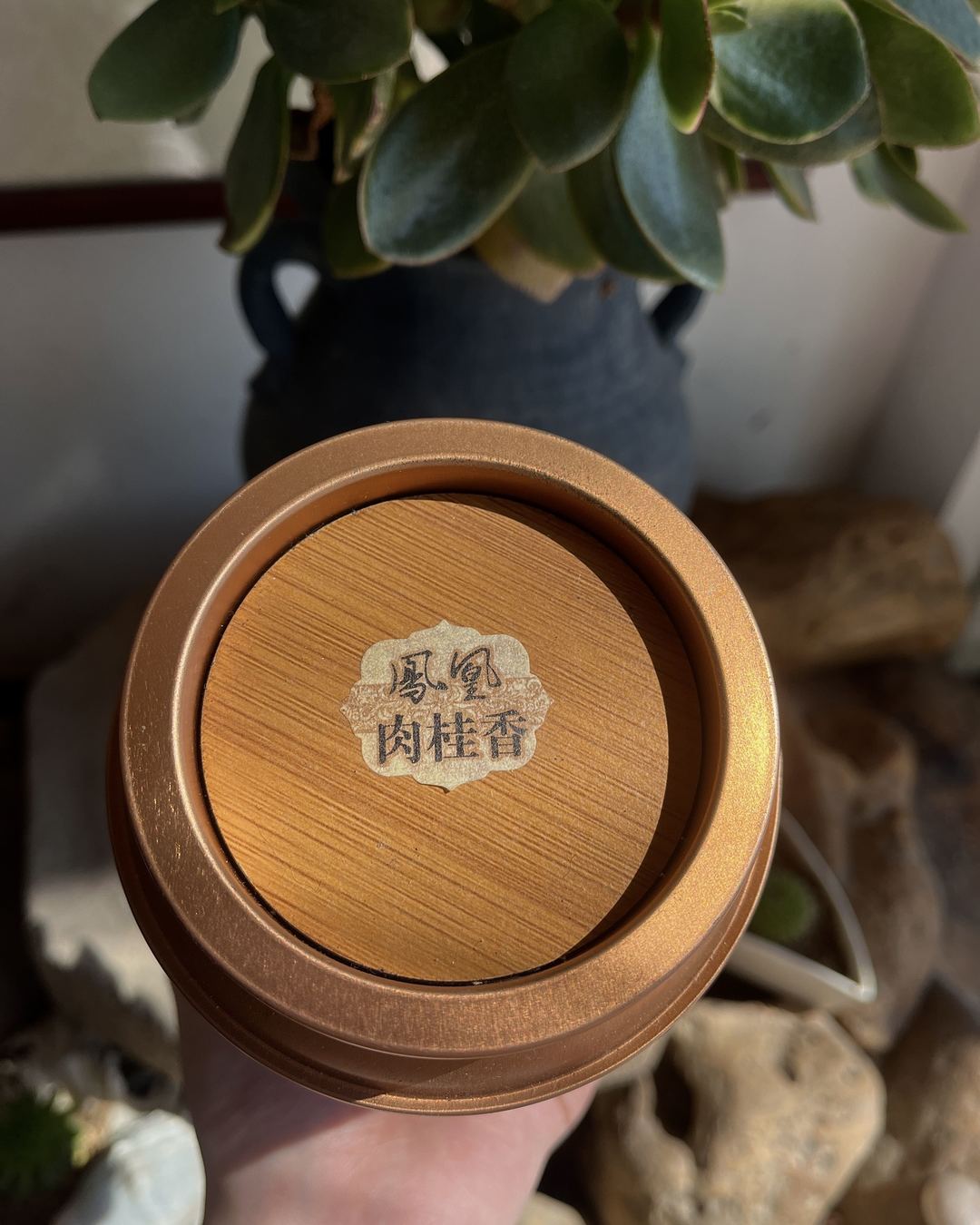 我被入坑了,也给各位科普一下吧