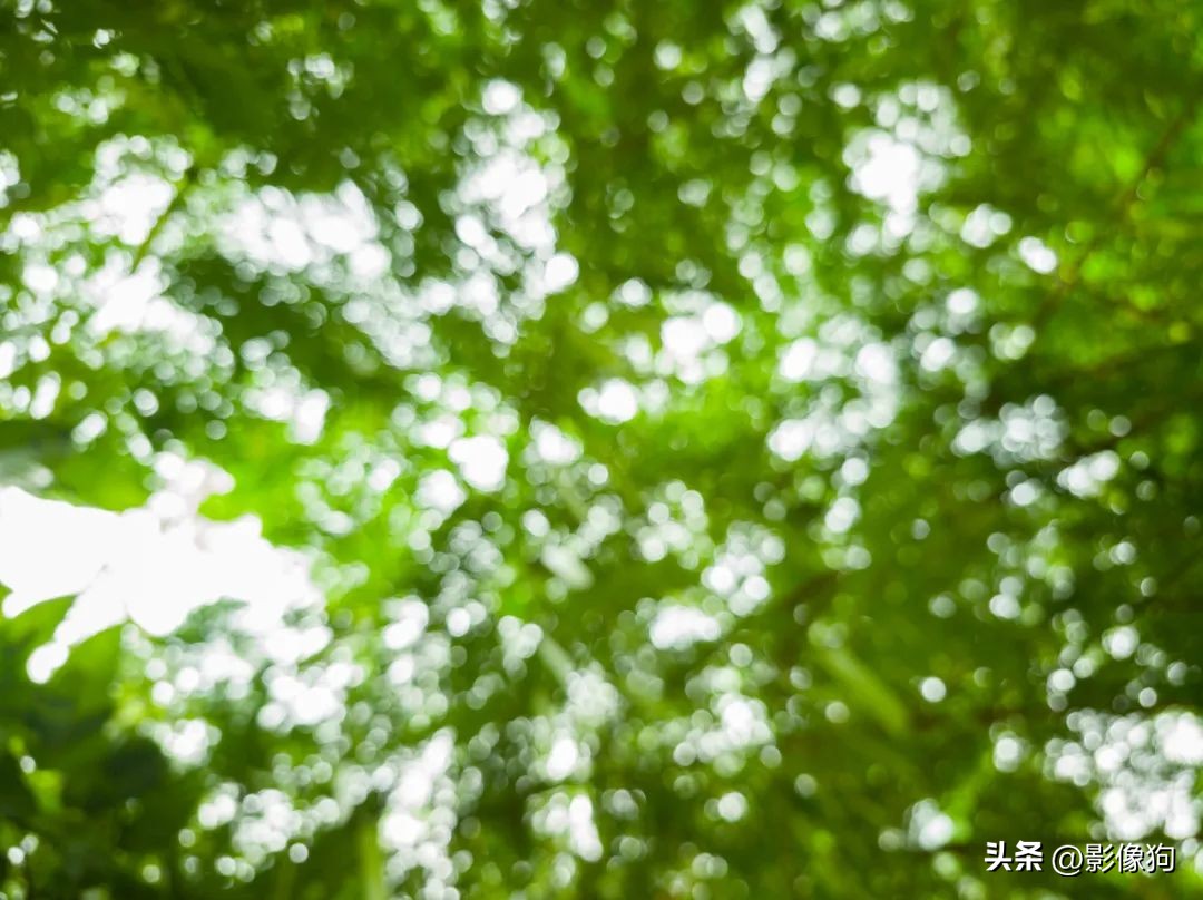 小米13Ultra影像评测,红米k70pro和小米13ultra哪个拍照好