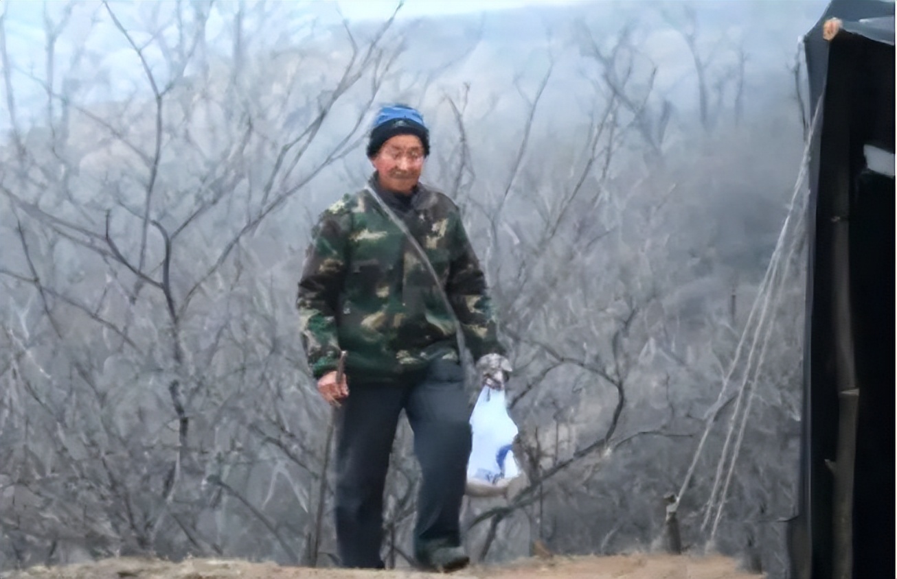 山西老农发现凤凰,山西老农发现2只凤凰精心养4年