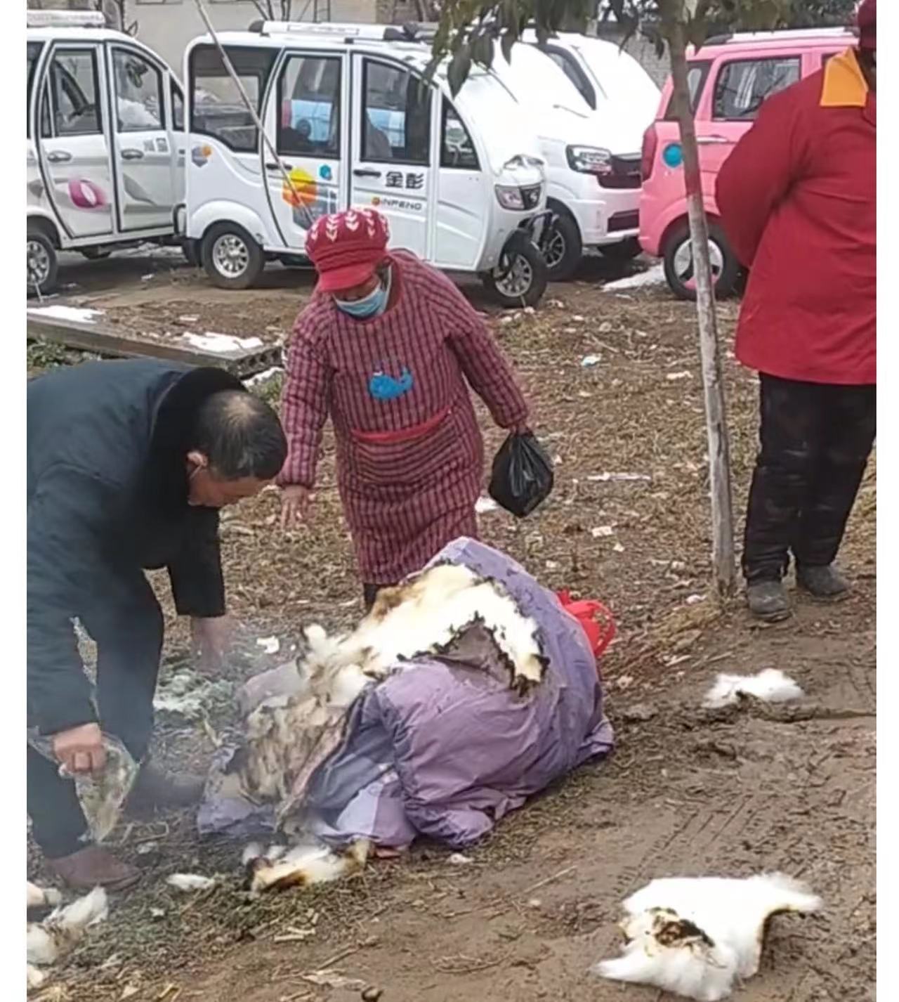 结婚嫁妆着火,结婚当天新娘陪嫁被子烧着了