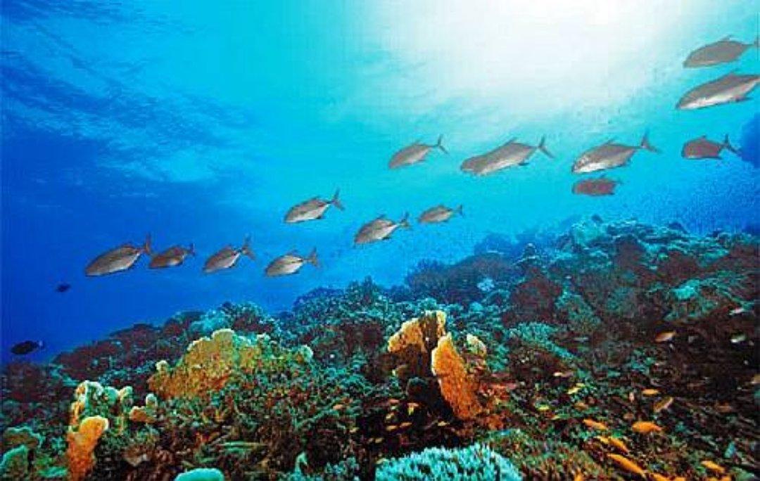 我国*鱼岛钓**有多大，现在是否还有人居住？有什么重要的战略意义？