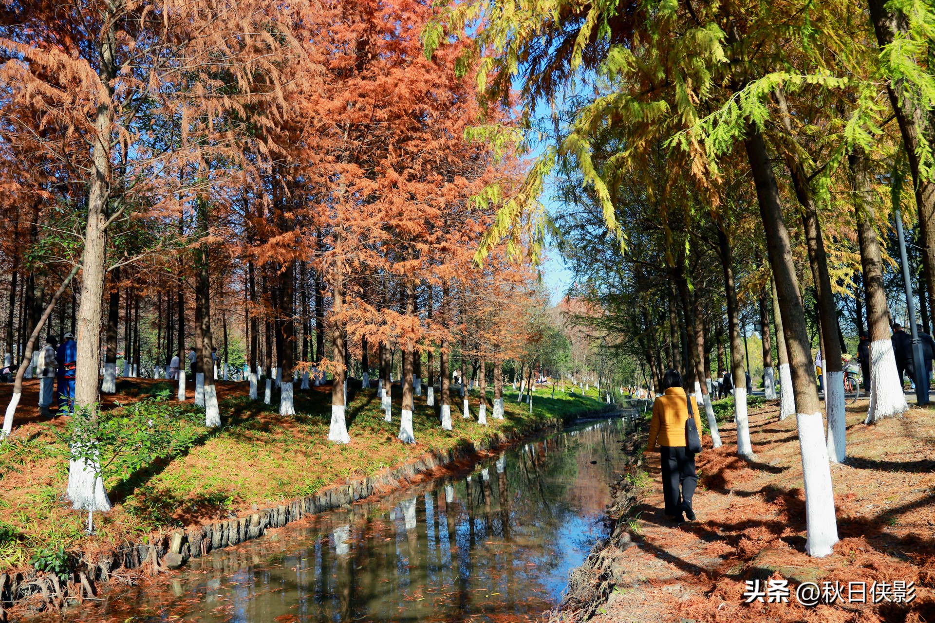 杭州周边秋日赏景好去处,杭州周边当季旅游景点推荐