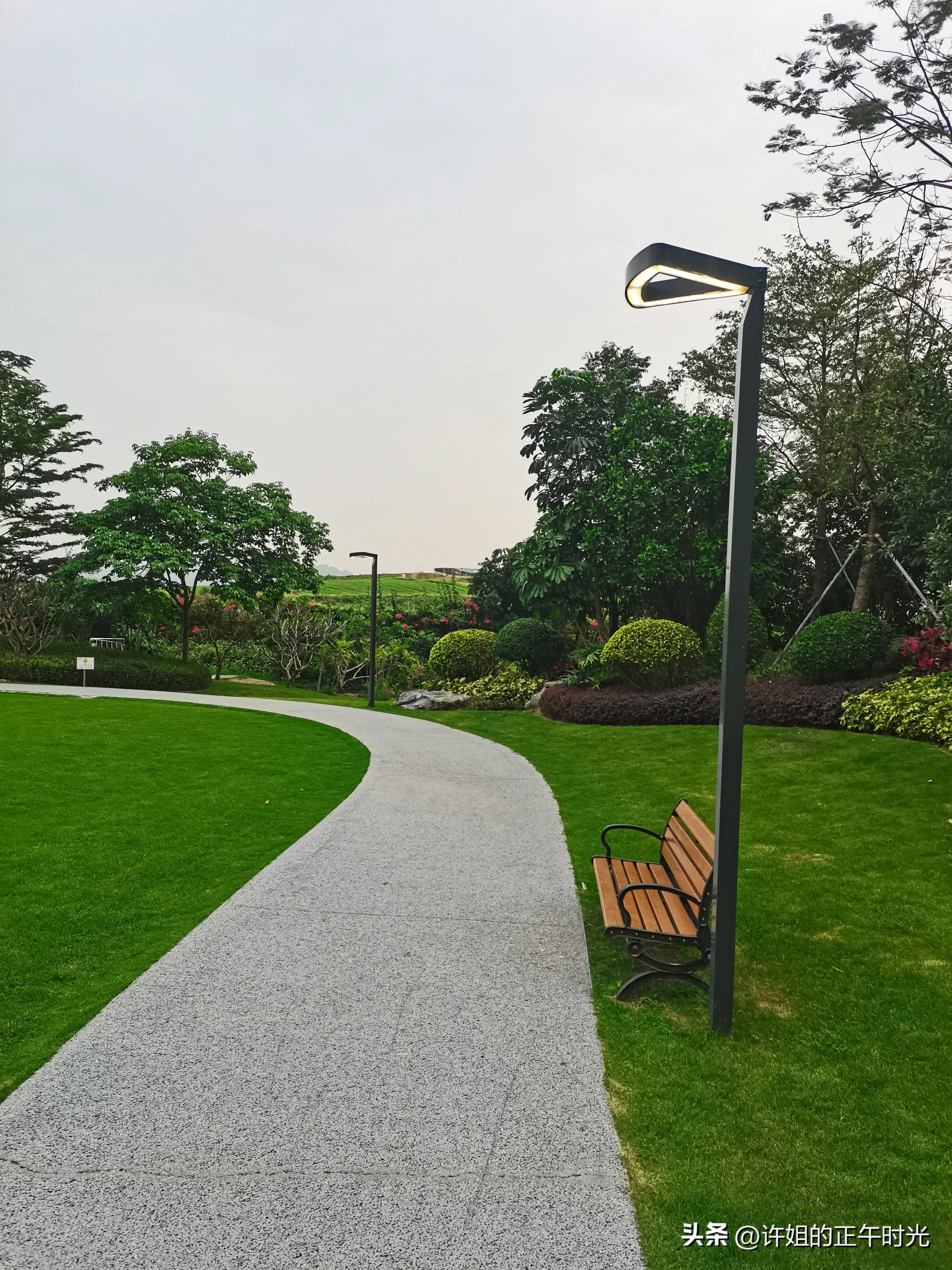 深圳光明发展速度,深圳光明有什么潜力