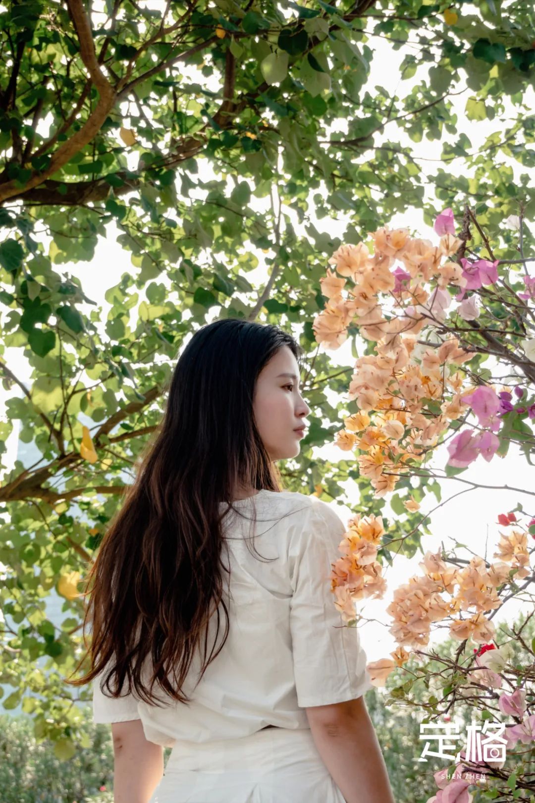 深圳湾流花山花海,深圳蝴蝶谷花海图片