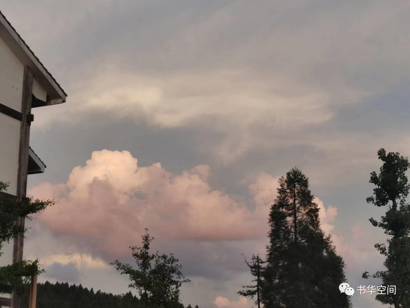 让心不再孤单,让心继续孤独