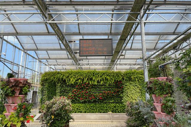 嘉善新世纪学校2024年招生,嘉善县重点建设的学校