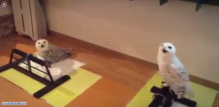 上班摸鱼看小说神器免费,上班看小说摸鱼神器推荐