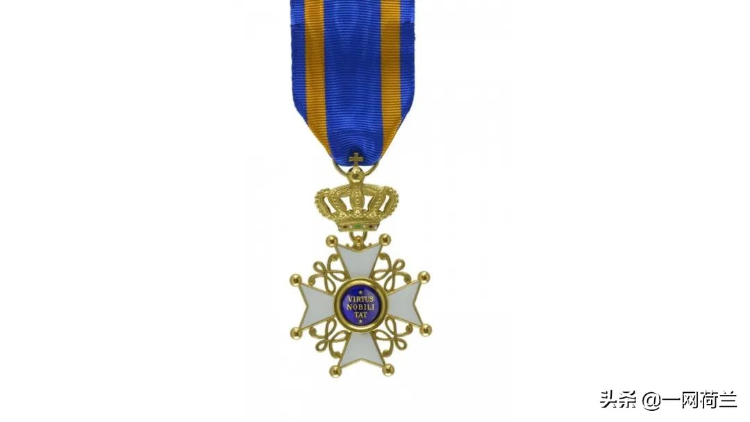 荷兰国王加冕礼,荷兰国王加冕仪式外宾