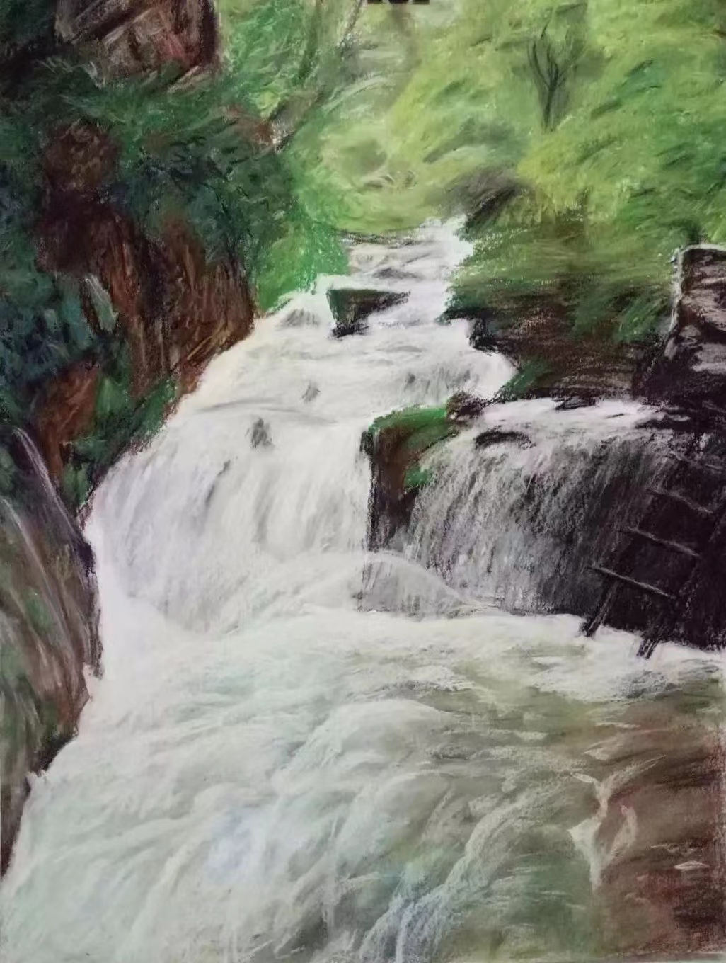 《草原王者》——李娟粉画、彩铅画作品作者：铁二代李娟