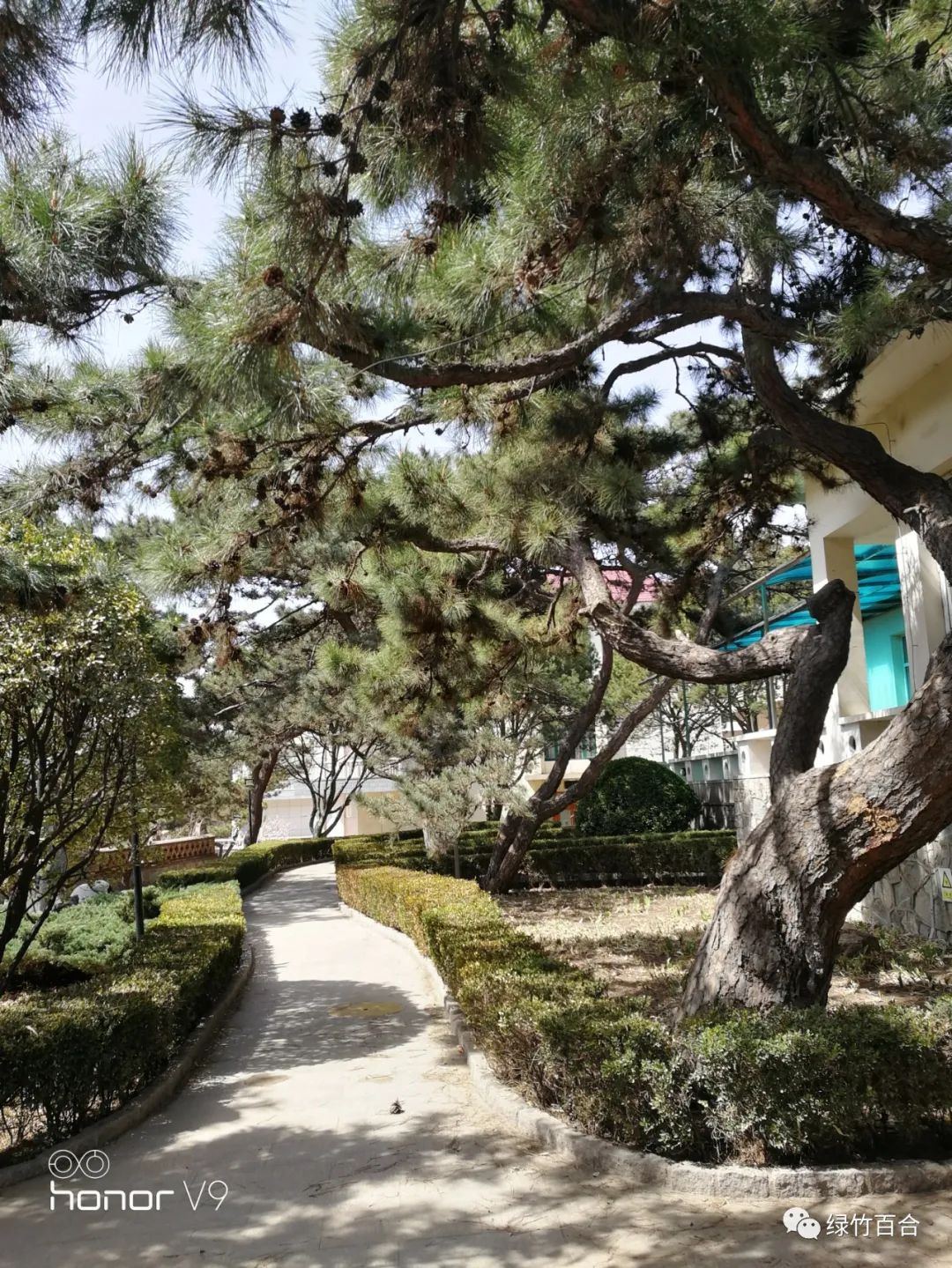 北戴河*警武**休疗院