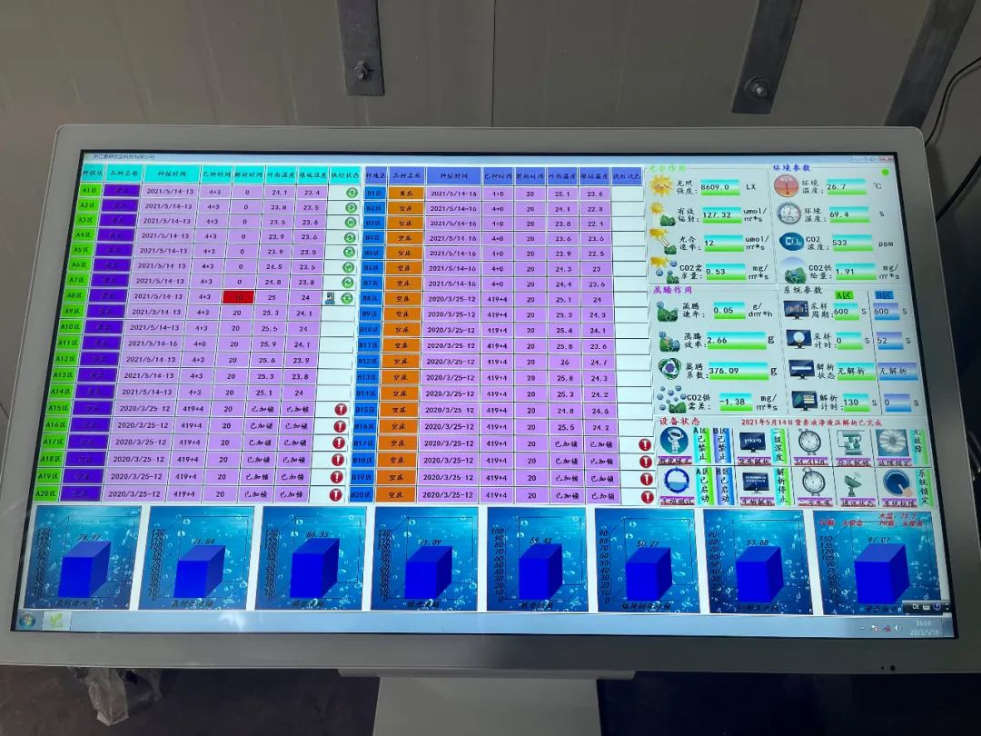 「农业百科」究竟什么是无土栽培？带你一起探索无土栽培的奥秘