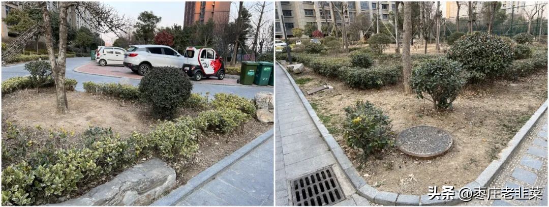 青铜还是王者？东湖片区物业服务调研报告