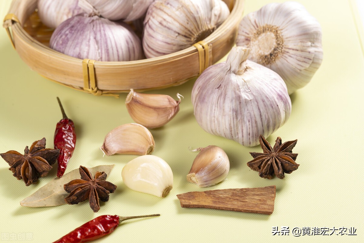 今天云南鲜蒜苔批发价格,现在云南鲜蒜最新价格